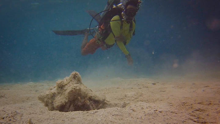 stthomas9.jpg